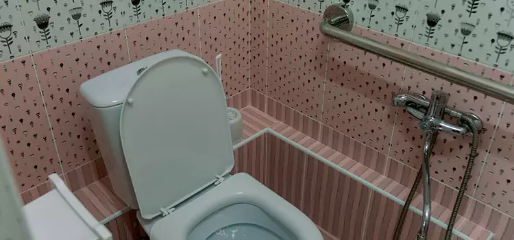 Meeting Diverse Needs With Accessible Restroom Solutions in North Lynnwood, WA