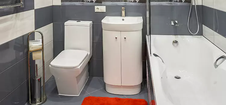 Hansgrohe Shaving Mirror North Lynnwood